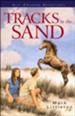 Tracks in the Sand (Ally O'Connor Adventures Book #1) - eBook