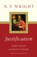 Justification: God's Plan & Paul's Vision - eBook
