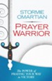 Prayer Warrior: The Power of Praying Your Way to Victory - eBook