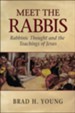 Meet the Rabbis: Rabbinic Thought and the Teachings of Jesus - eBook