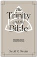 The Trinity and the Bible: On Theological Interpretation