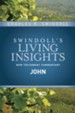 Insights on John - eBook