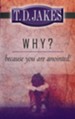 Why? Because You Are Anointed - eBook