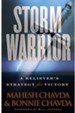 Storm Warrior: A Believer's Strategy for Victory - eBook