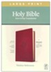 NLT Large-Print Thinline Reference Bible, Filament Enabled Edition--soft leather-look, berry