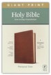 NLT Giant-Print Personal-Size Bible, Filament Enabled Edition--soft leather-look, rustic brown