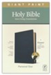 NLT Giant-Print Personal-Size Bible, Filament Enabled Edition--genuine leather, black (indexed)