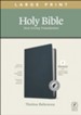 NLT Premium Value Thinline Bible, Filament Enabled Edition-- soft ...