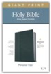 KJV Giant-Print Personal-Size Bible, Filament Enabled Edition--soft leather-look, black/onyx