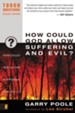 How Could God Allow Suffering and Evil?/ New edition - eBook