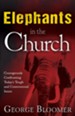 Elephants In The Church: Courageously Confronting Today's Tough and Controversial Issues - eBook