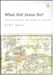 What Did Jesus Do?, DVD Messages
