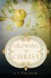 Growing in Christ - eBook