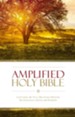 Amplified Holy Bible: Captures the Full Meaning Behind the Original Greek and Hebrew - eBook