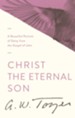 Christ the Eternal Son: A Beautiful Portrait of Deity from the Gospel of John / New edition - eBook