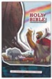 NIRV Children's Bible, Case of 28