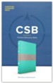 CSB Thinline Reference Bible--LeatherTouch, mint/gray