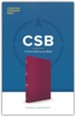 CSB Thinline Reference Bible--LeatherTouch, cranberry