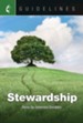 Guidelines for Leading Your Congregation 2017-2020 Stewardship: Raise Up Generous Disciples - eBook