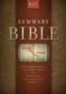 Summary Bible, KJV Edition - eBook