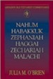 Abingdon Old Testament Commentaries: Nahum, Habakkuk, Zephaniah, Haggai, Zechariah, Malachi - eBook