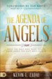 The Agenda of Angels: What the Holy Ones Want You to Know About the Next Move - eBook