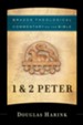 1 & 2 Peter (Brazos Theological Commentary) -eBook