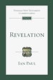 Revelation: An Introduction and Commentary - eBook