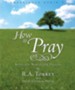 How to Pray - Unabridged Audiobook [Download]