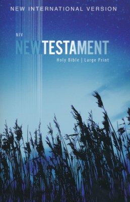 NIV Large Print Outreach New Testament, softcover