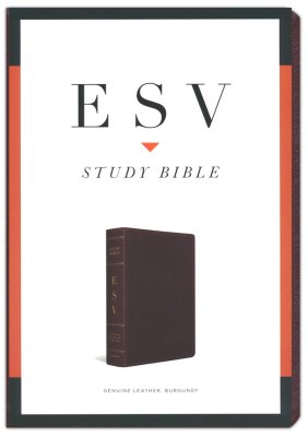 Front Slipcover - ESV Study Bible, Burgundy Genuine Leather