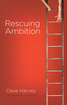 Rescuing Ambition Ebook