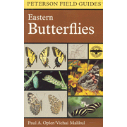 Peterson Field Guide to Eastern  Butterflies