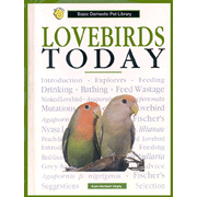 Lovebirds Today  - Slightly Imperfect