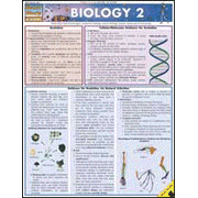 Biology 2 Chart   - 