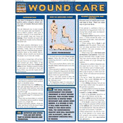 Wound Care Chart