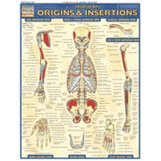 Muscular Origins & Insertions, QuickStudy ® Chart