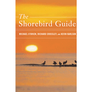 Shorebird Guide