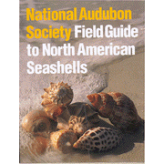 The Audubon Society Field Guide to North American Seashells  -     By: National Audubon Society
