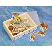Magnetic Dinosaurs in a Box