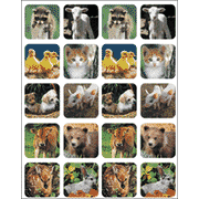 Baby Animals (real photos)  - 