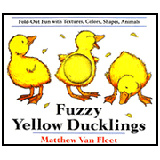 Fuzzy Little Ducklings