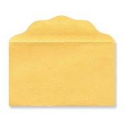 Bill Size Blank Envelopes, 100             - 