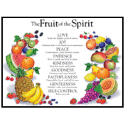 The Fruit Of The Spirit Laminated Wall Chart