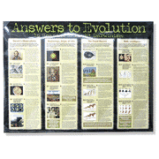 Answers to Evolution Laminated Wall Chart   - 