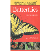 Butterflies Butterflies