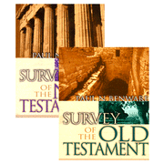 Survey of the Old & New Testaments, 2 Volumes