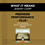 What It Means (Low Key-Premiere Performance Plus w/o Background Vocals) [Music Download]