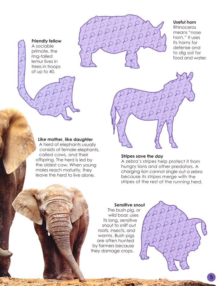 Ultimate Sticker Book Animals: 9780744033908 