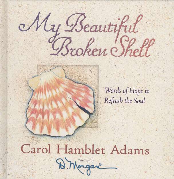 Broken Sea Shells And The Search For Perfection